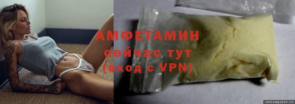 стаф Абаза