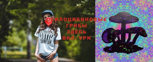стаф Абаза